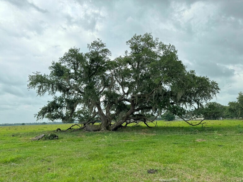 More Photos Of Southeast Highway 70, Arcadia Land For Sale