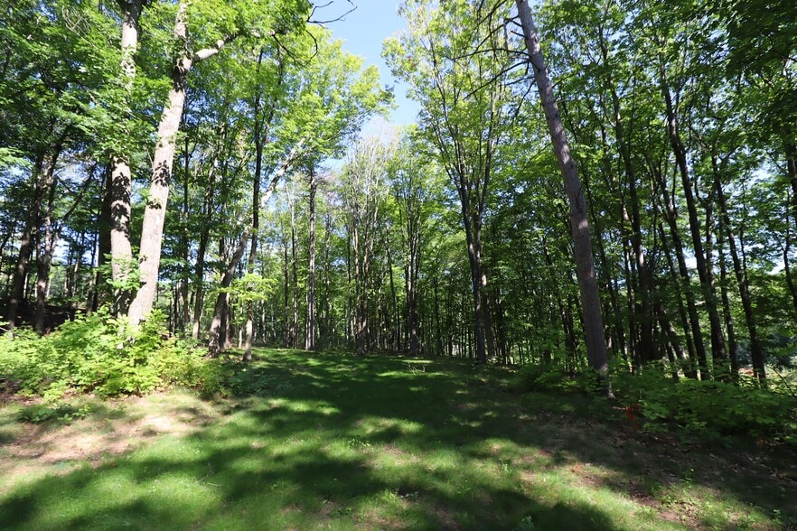 More Photos Of 35480 Whitetail Ave, Bayfield Land For Sale