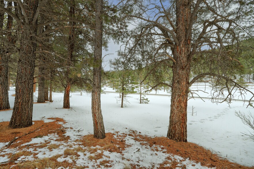 More Photos Of Lot 21A Golf View Terrace, Angel Fire Land For Sale