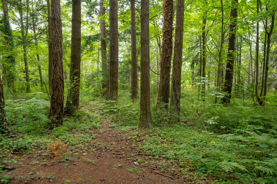 More Photos Of 750-800 Samish, Bellingham Land For Sale