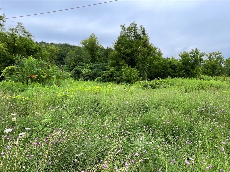 Primary Photo Of 5277 NY-12, Norwich Land For Sale
