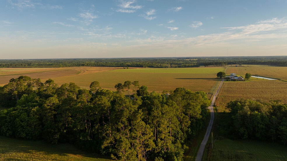 More Photos Of 24795 County Road 32, Elberta Land For Sale
