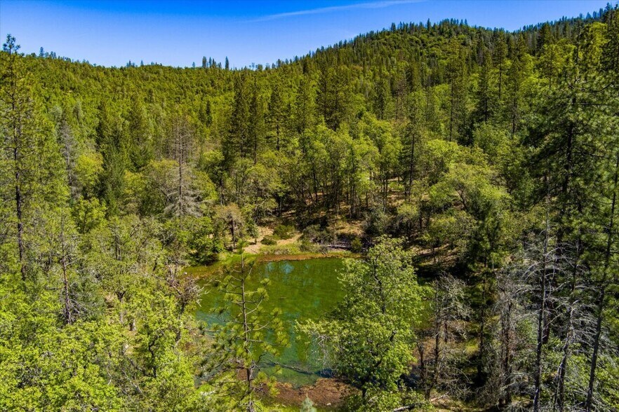 More Photos Of 6691 Reading Creek Rd, Douglas City Land For Sale