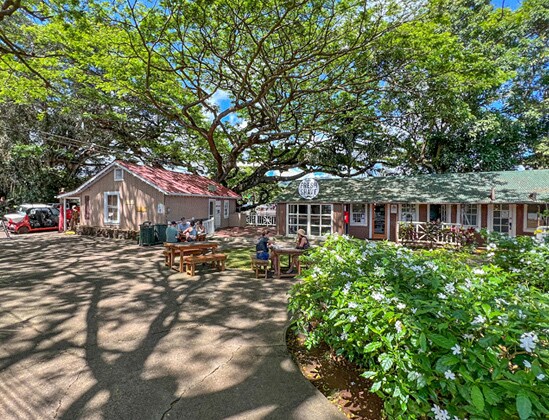 More Photos Of 5392 Koloa Rd, Koloa Storefront Retail Office For Lease