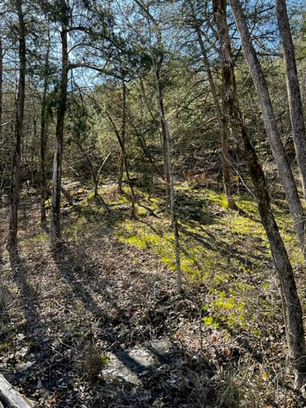 More Photos Of 4103 River Road, Guion Land For Sale