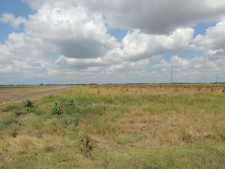 More Photos Of 3348 - 3508 County Road 405, Taylor Land For Sale