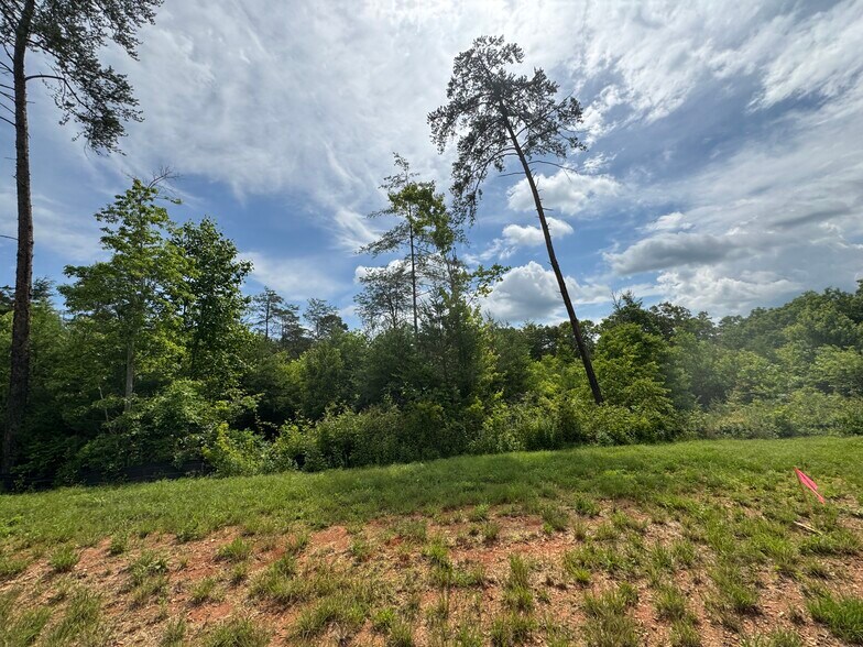 More Photos Of Hwy 515, Morganton Land For Sale