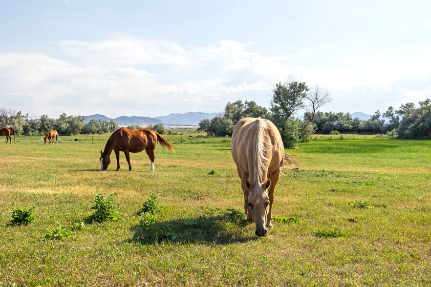 More Photos Of 210 Sybille Creek Rd, Wheatland Horse Stables For Sale