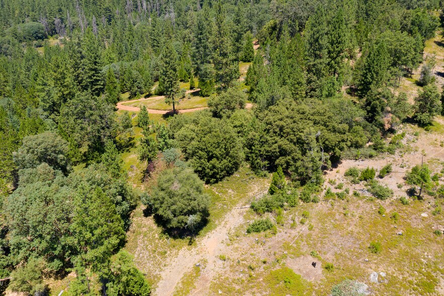 25755 State Highway 88, Pioneer, CA 95666 Land For Sale
