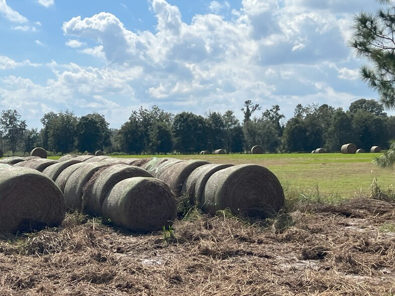 More Photos Of 627 Buford Rd, Arabi Land For Sale