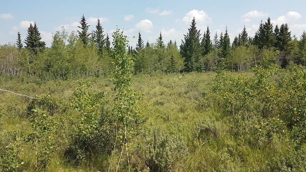 More Photos Of 1 Bow River, Rocky View No 44 Land For Sale