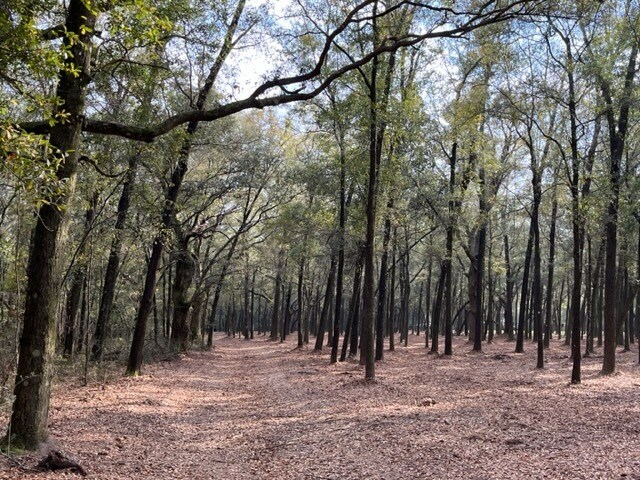 More Photos Of 4400 Garcon Point Road, Milton Land For Sale