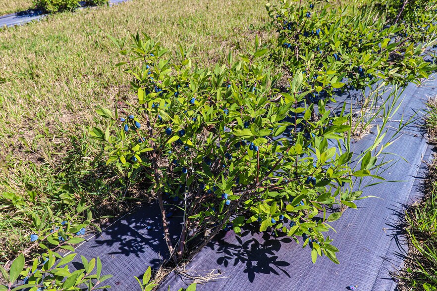 More Photos Of 705068 82 -1, Wembley General Retail For Sale