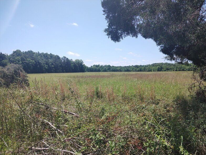 More Photos Of Ravenwood Drive And Bell Road, Selma Land For Sale