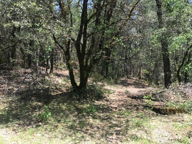 More Photos Of Canyon Creek Drive -1 @ Canyon Way, Colfax Land For Sale