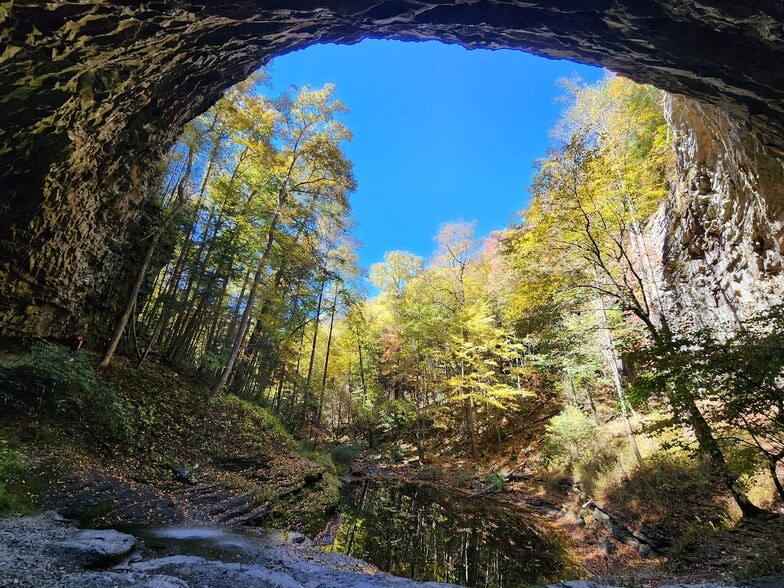 More Photos Of 22500 Rhea County Hwy, Spring City Hotel For Sale