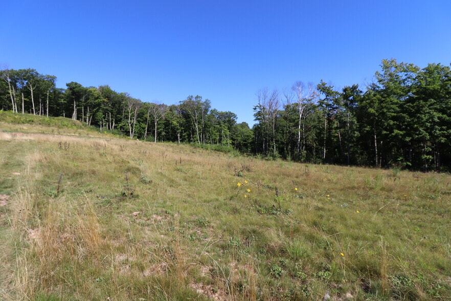 More Photos Of 35480 Whitetail Ave, Bayfield Land For Sale