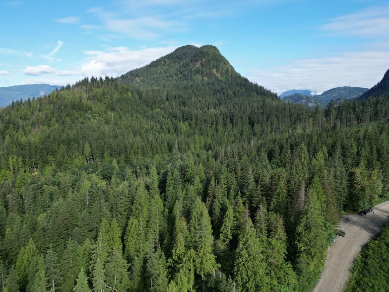 More Photos Of 241 Sylvester Rd, Mission Land For Sale