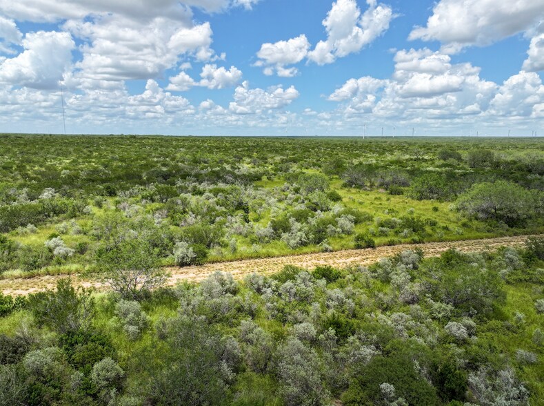 More Photos Of Las Brisas Road, Rio Grande City Land For Sale