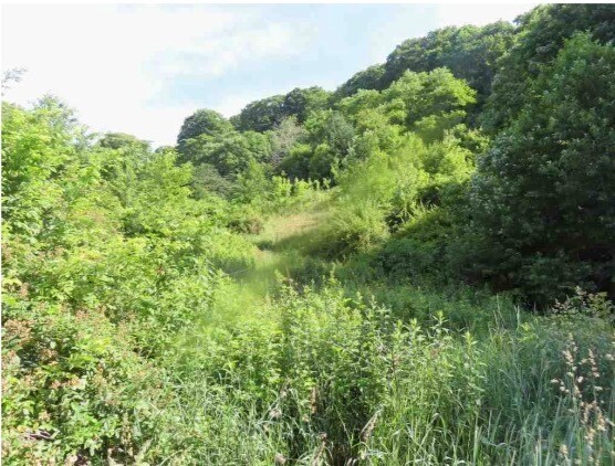 More Photos Of 455 Shawnee Rd, Banner Elk Land For Sale