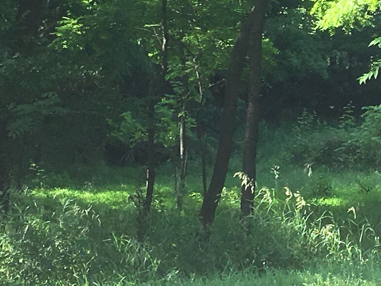 More Photos Of 277 Route 94, Vernon Land For Sale