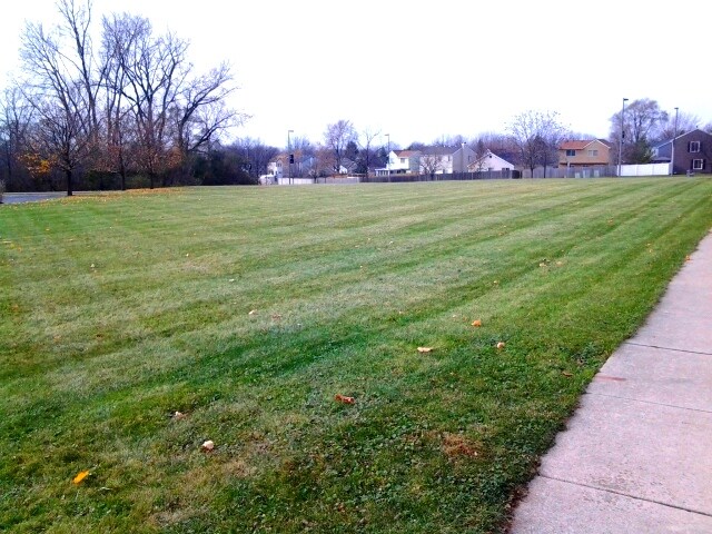 More Photos Of 7100 Janes Ave, Woodridge Land For Sale