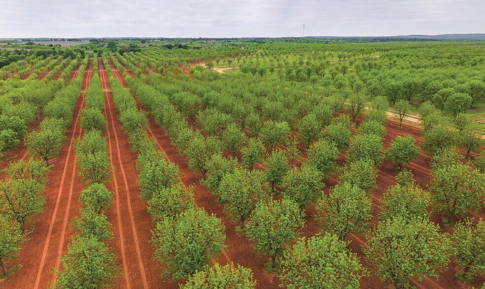 More Photos Of 450 County Road 417, Goldthwaite Land For Sale