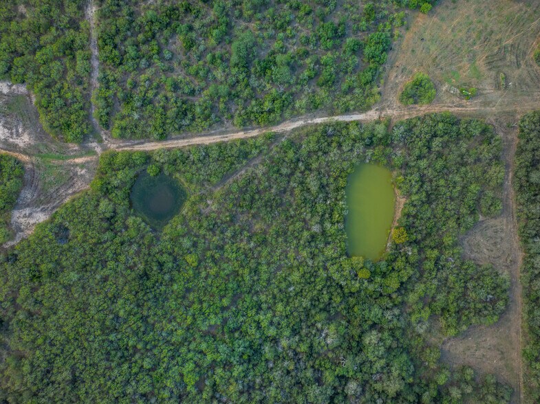 More Photos Of 399 Seals Creek Rd, Lockhart Land For Sale