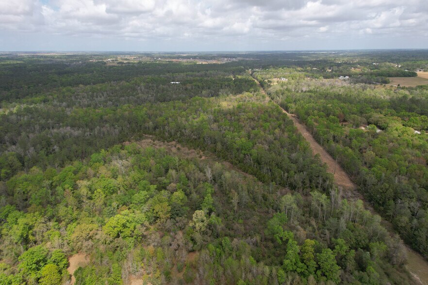 More Photos Of 12960 County Road 48, Silverhill Land For Sale