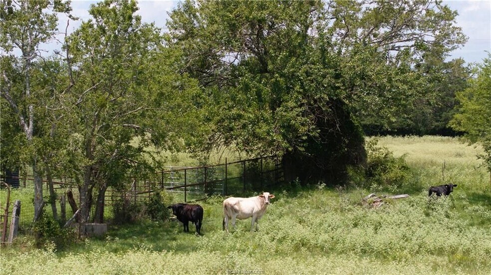 More Photos Of TBD FM 974, Bryan Land For Sale