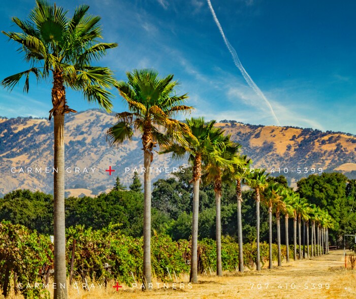 More Photos Of 0 Suisun Valley Road, Fairfield Land For Sale