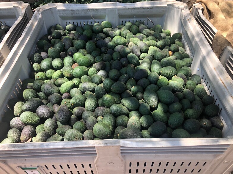 More Photos Of 3137 E Valley Pky, Escondido Land For Sale