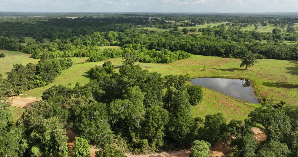 More Photos Of 2268 FM 1486, Montgomery Land For Sale