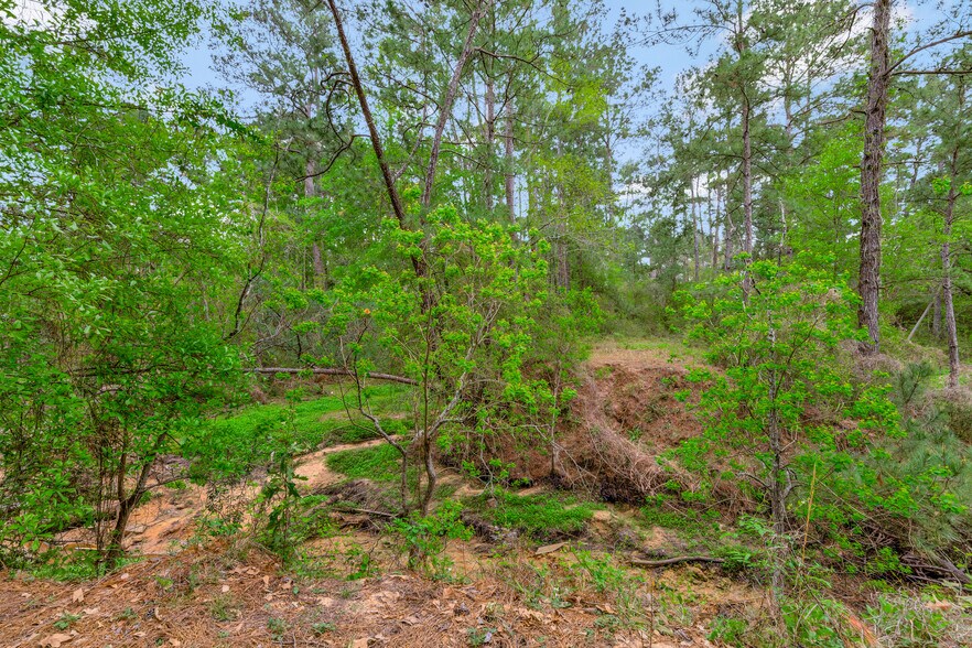 More Photos Of 16789 Butera Rd, Magnolia Trailer Camper Park For Sale