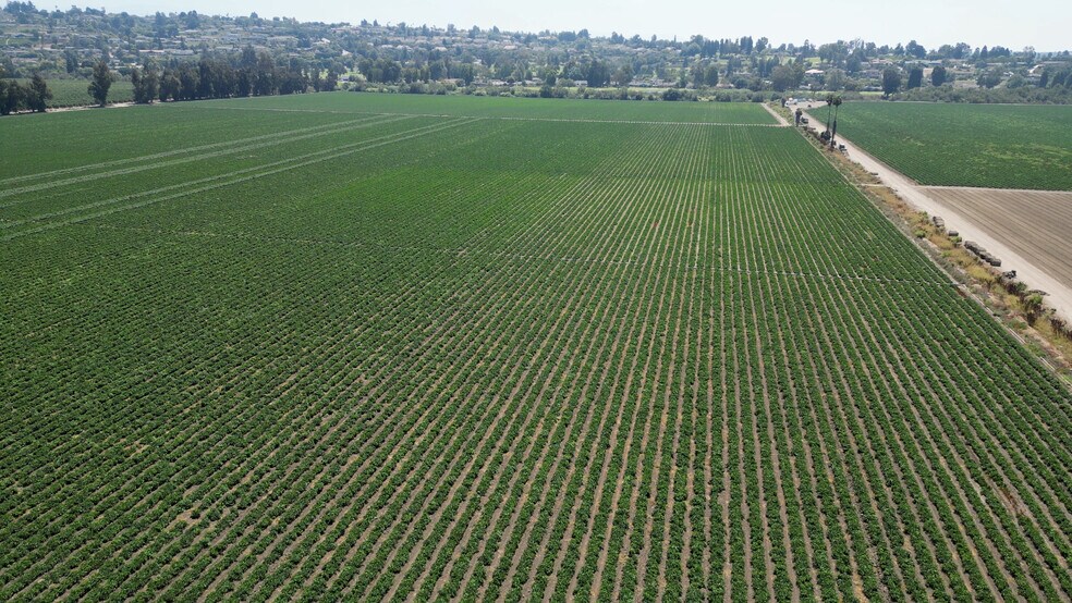 More Photos Of 150 Los Angeles, Somis Land For Sale