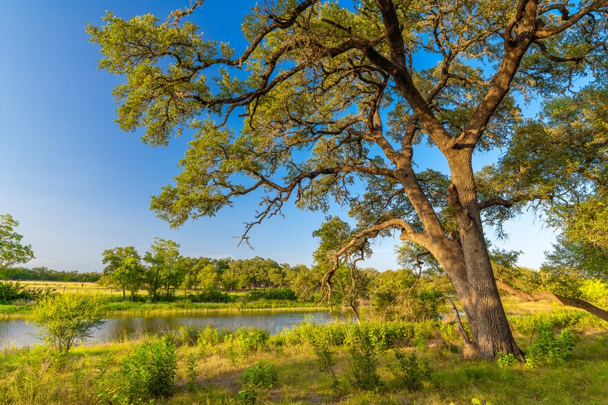 More Photos Of 5150 Purgatory Rd, Canyon Lake Land For Sale