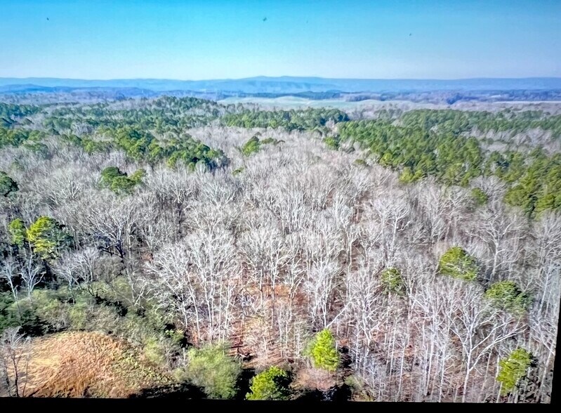 More Photos Of 1392 US 41 N, Calhoun Land For Sale