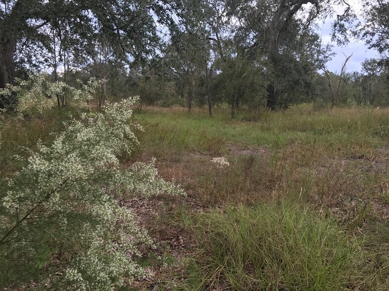 More Photos Of NW CR 250, Mayo Land For Sale