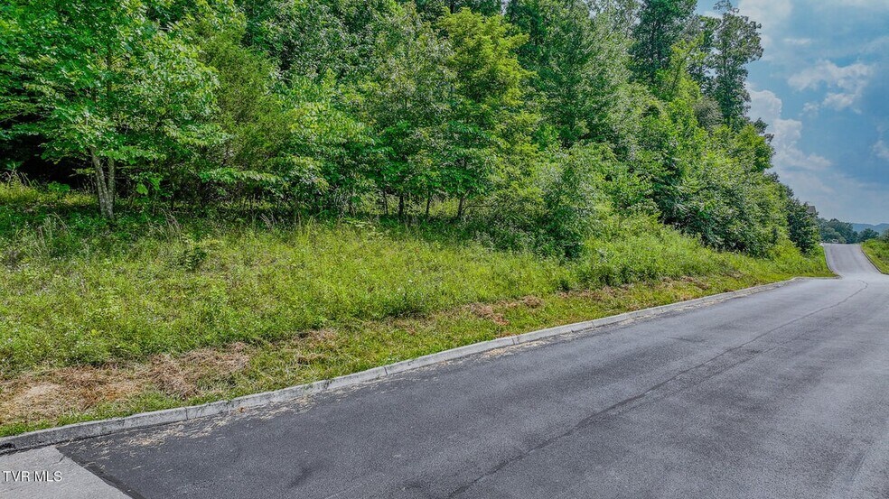 More Photos Of 000 Fordtown Rd, Kingsport Land For Sale