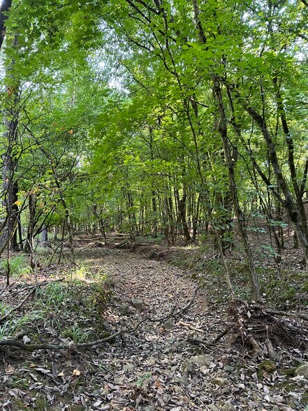 More Photos Of 92 Lillian Strong rd, Carlton Land For Sale