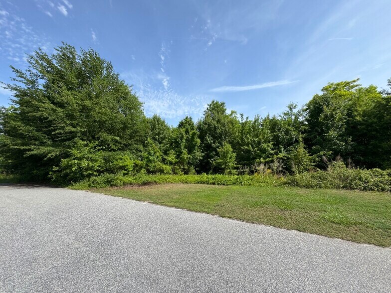 More Photos Of 0 Woodson St, Greenville Land For Sale