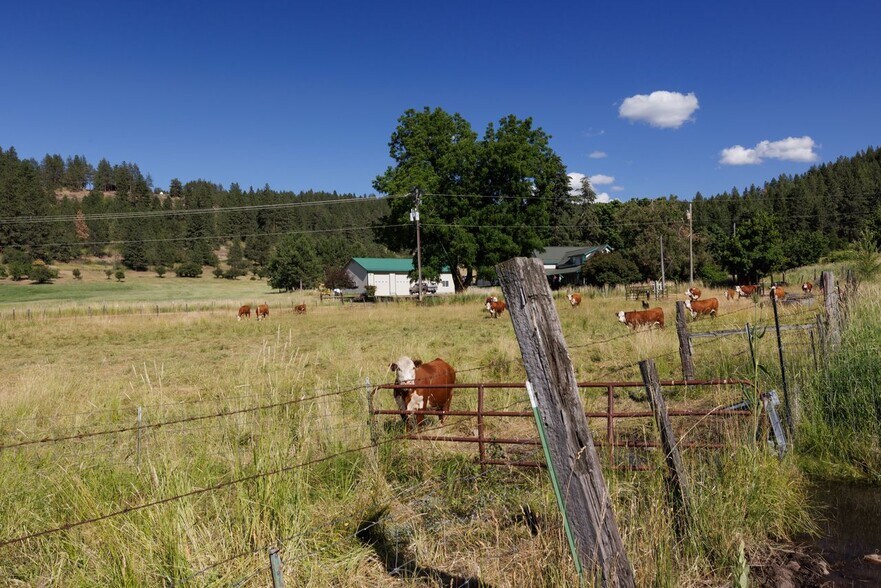 More Photos Of 59926 Comstock Rd, Cove Land For Sale