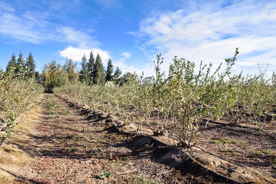 More Photos Of 5288 W Kile Rd, Lodi Land For Sale