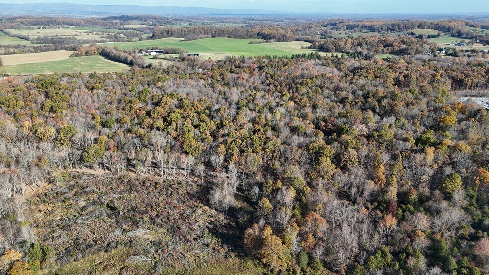 More Photos Of 0 Whiting Rd, Marshall Land For Sale