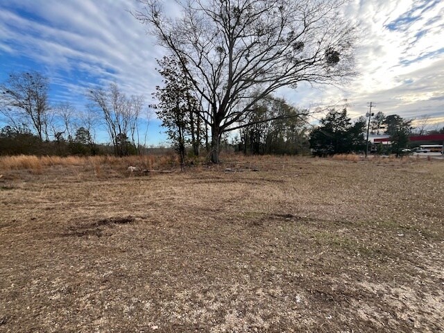 More Photos Of 52000 Block US-31 Hwy, Perdido Land For Sale