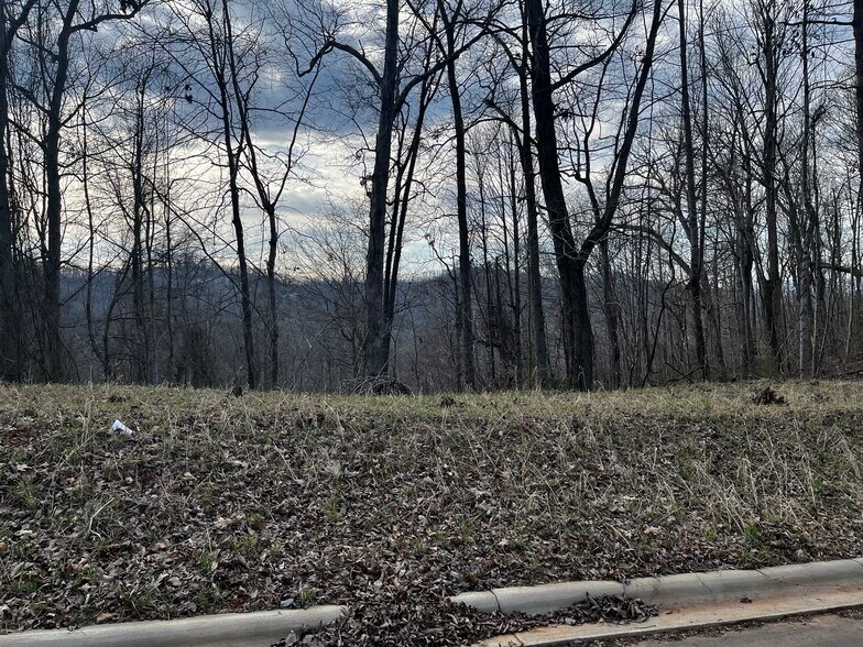 More Photos Of 105 Woodland Meadows Dr, Asheville Land For Sale