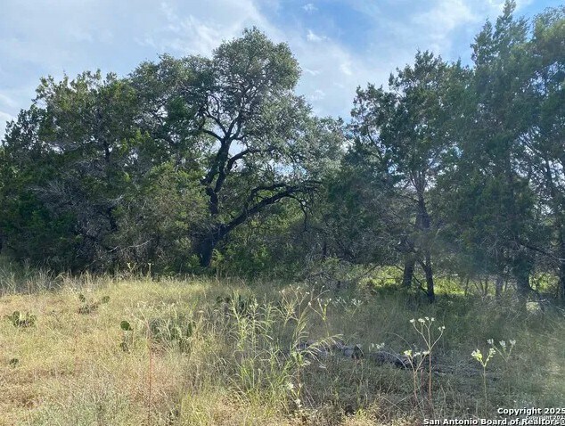More Photos Of 296 Recreation Ln, Spring Branch Land For Sale