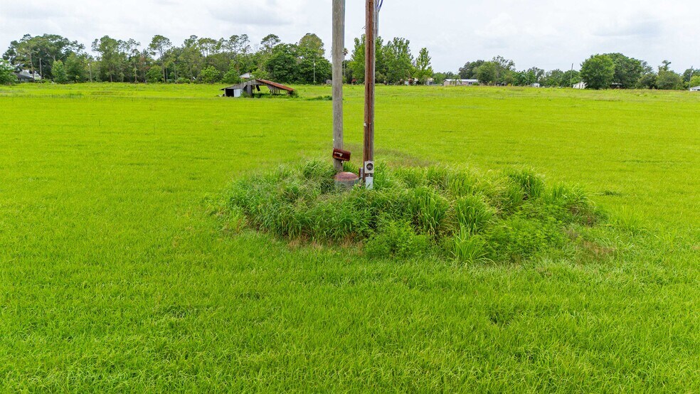 More Photos Of 11025 Beckum Rd, Dade City Land For Sale