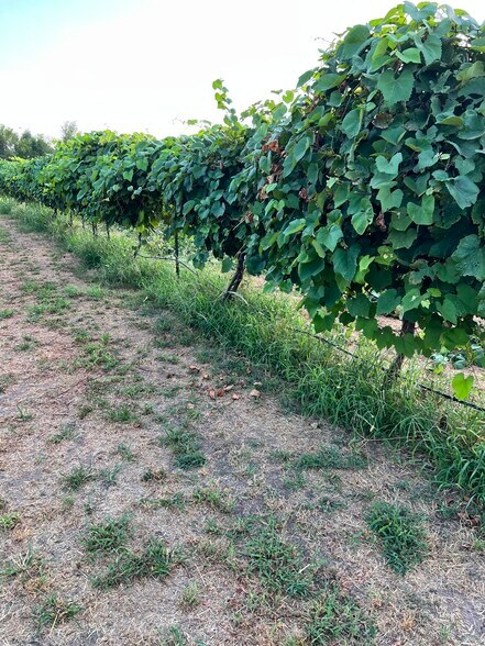 More Photos Of 6745 N Gregory Rd, Yukon Winery Vineyard For Sale