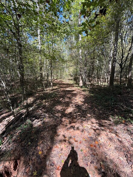 More Photos Of Erastus Church rd, Commerce Land For Sale